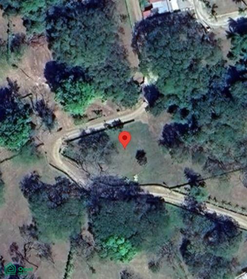 Aerial view of a wooded lot marked by a red pin beside winding roads.