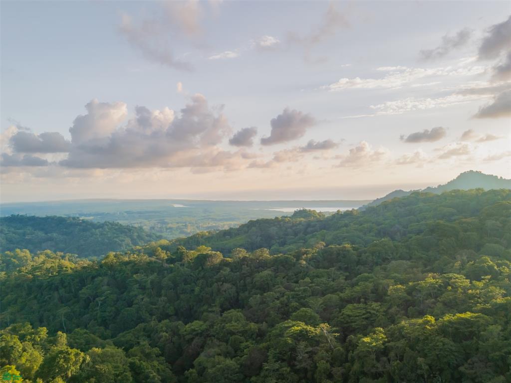 Ocean View Lot for Sale in Tres Ríos de Osa – 2 Acres Ready-to-Build Property in Costa Azul