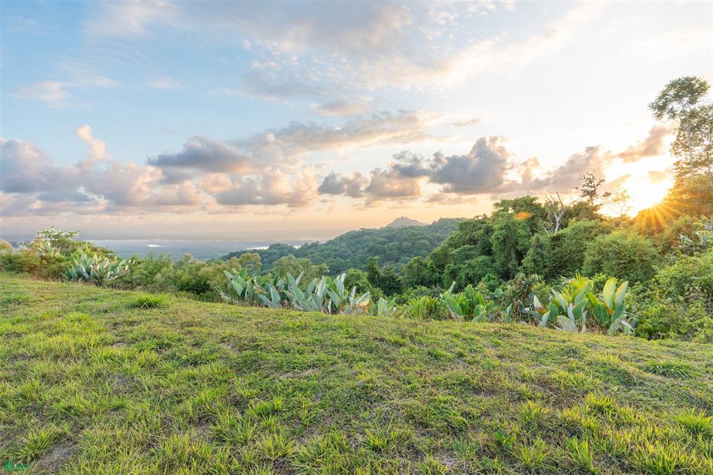 Ocean View Lot for Sale in Tres Ríos de Osa – 2 Acres Ready-to-Build Property in Costa Azul