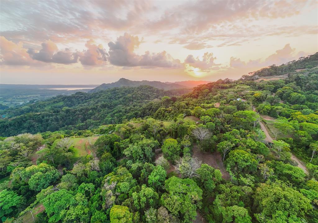 Ocean View Lot for Sale in Tres Ríos de Osa – 2 Acres Ready-to-Build Property in Costa Azul