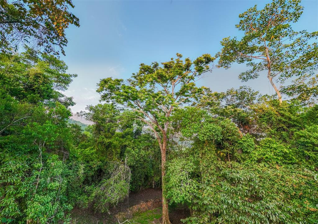 Ocean View Lot for Sale in Tres Ríos de Osa – 2 Acres Ready-to-Build Property in Costa Azul