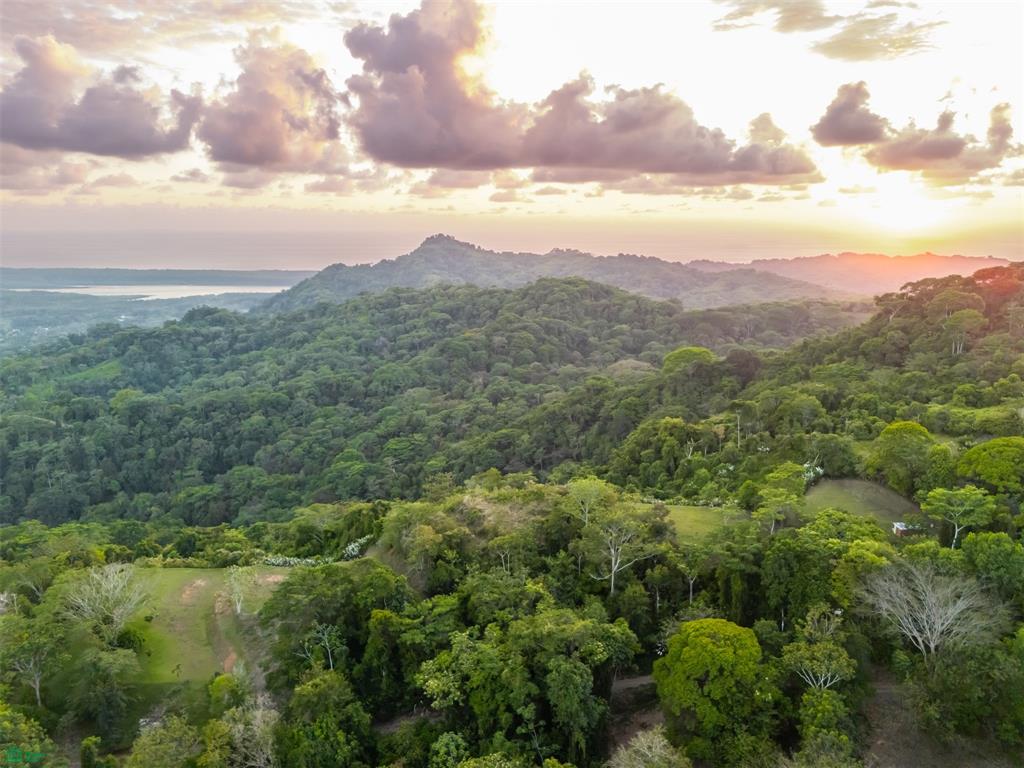 Ocean View Lot for Sale in Tres Ríos de Osa – 2 Acres Ready-to-Build Property in Costa Azul