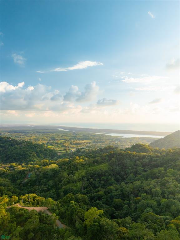 Ocean View Lot for Sale in Tres Ríos de Osa – 2 Acres Ready-to-Build Property in Costa Azul
