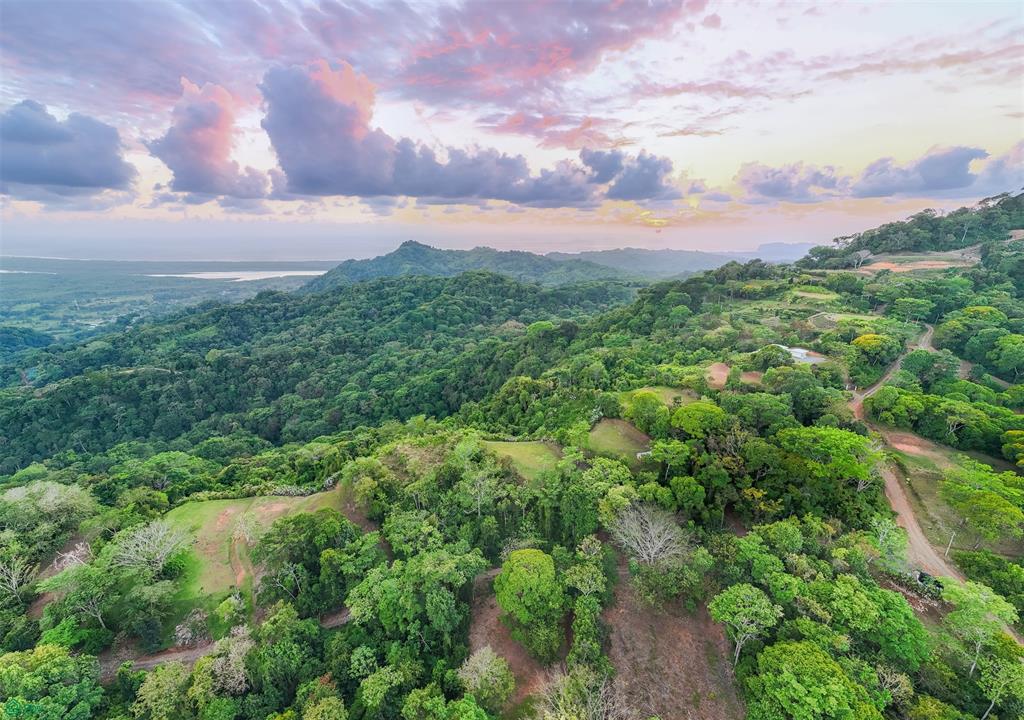 Ocean View Lot for Sale in Tres Ríos de Osa – 2 Acres Ready-to-Build Property in Costa Azul