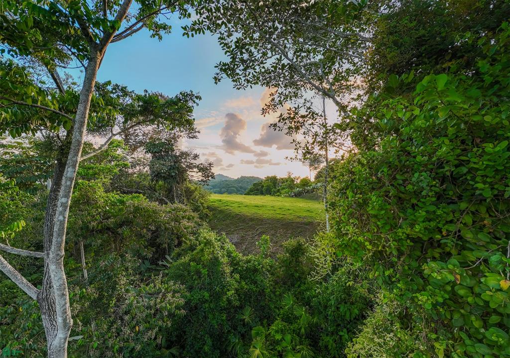 Ocean View Lot for Sale in Tres Ríos de Osa – 2 Acres Ready-to-Build Property in Costa Azul