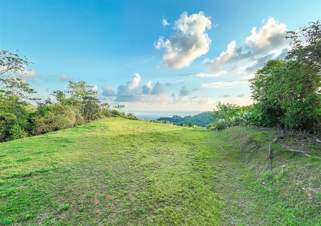 Ocean View Lot for Sale in Tres Ríos de Osa – 2 Acres Ready-to-Build Property in Costa Azul