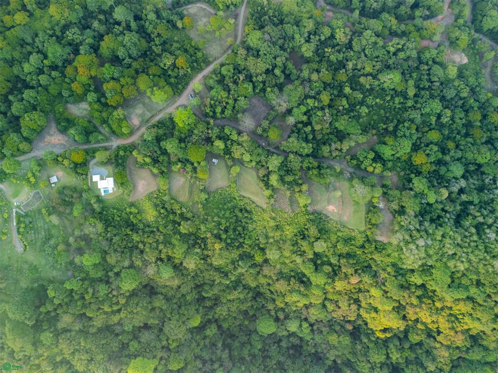 Ocean View Lot for Sale in Tres Ríos de Osa – 2 Acres Ready-to-Build Property in Costa Azul