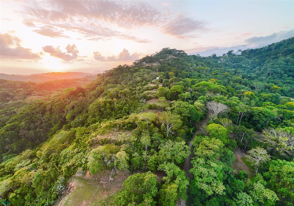 Ocean View Lot for Sale in Tres Ríos de Osa – 2 Acres Ready-to-Build Property in Costa Azul