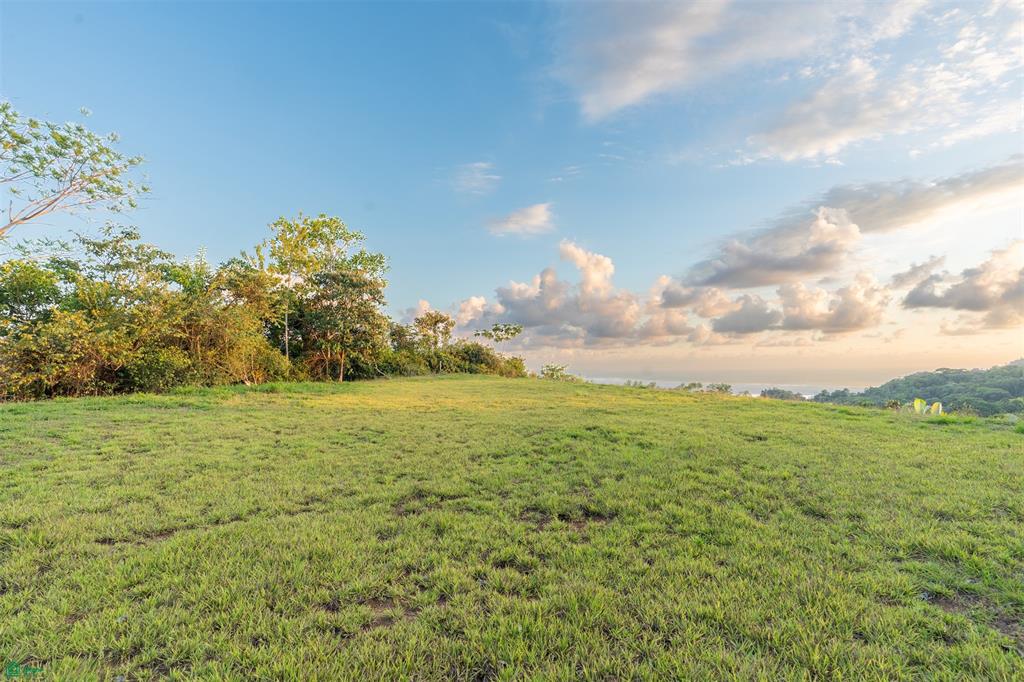 Ocean View Lot for Sale in Tres Ríos de Osa – 2 Acres Ready-to-Build Property in Costa Azul