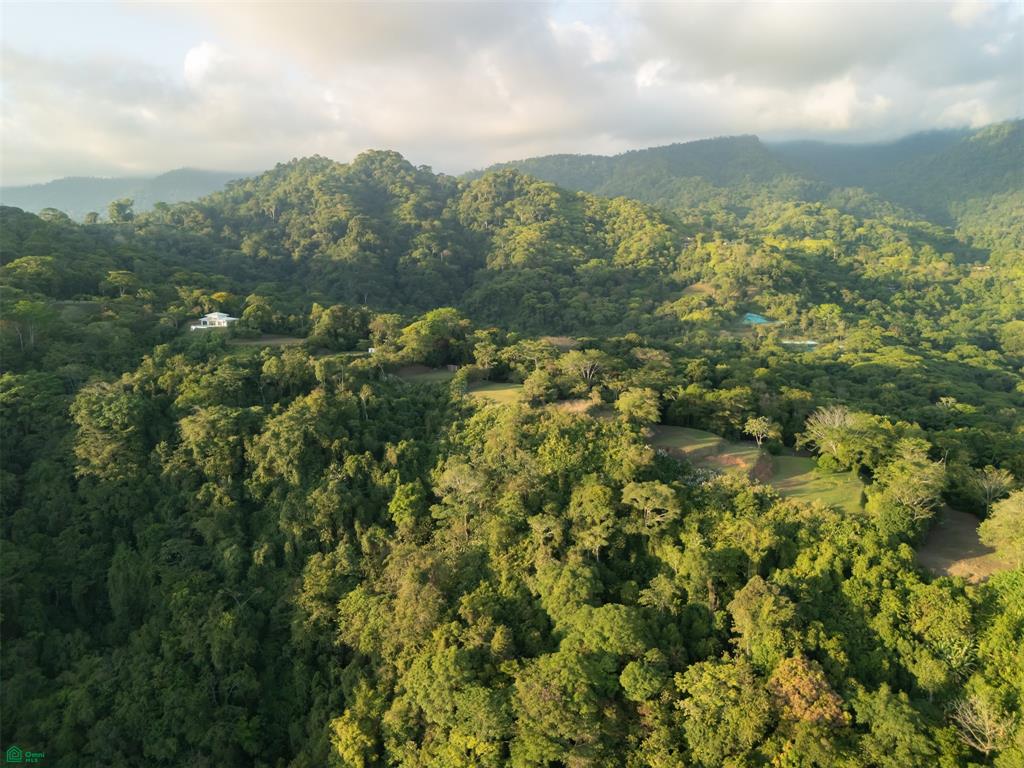 Ocean View Lot for Sale in Tres Ríos de Osa – 2 Acres Ready-to-Build Property in Costa Azul