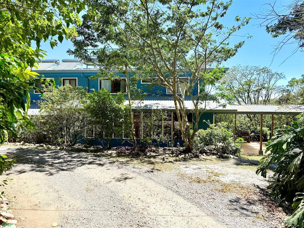 Eco Luxury Estate in Monteverde with Panoramic Gulf Views & Flat Land