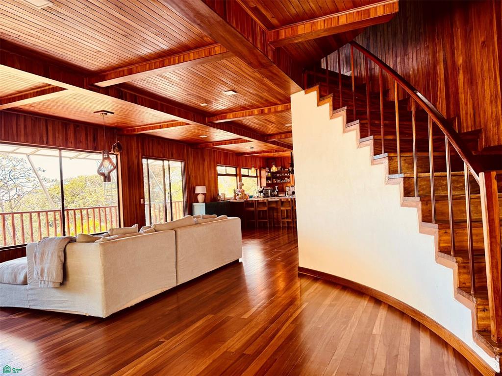 Eco Luxury Estate in Monteverde with Panoramic Gulf Views & Flat Land