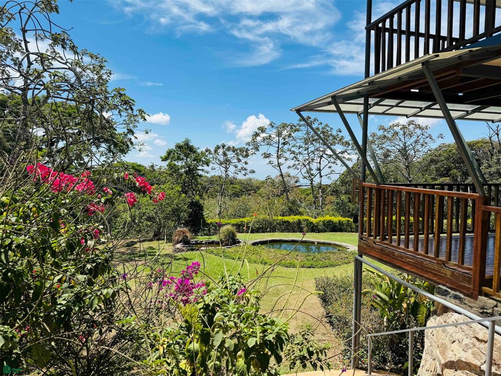 Eco Luxury Estate in Monteverde with Panoramic Gulf Views & Flat Land