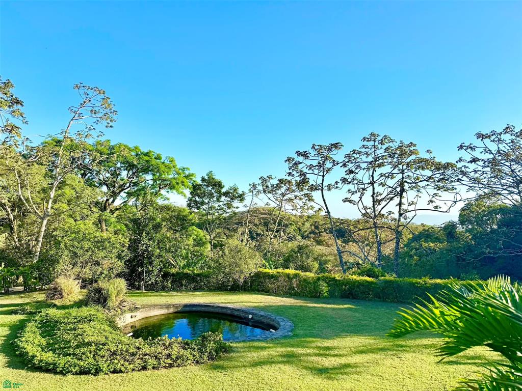 Eco Luxury Estate in Monteverde with Panoramic Gulf Views & Flat Land