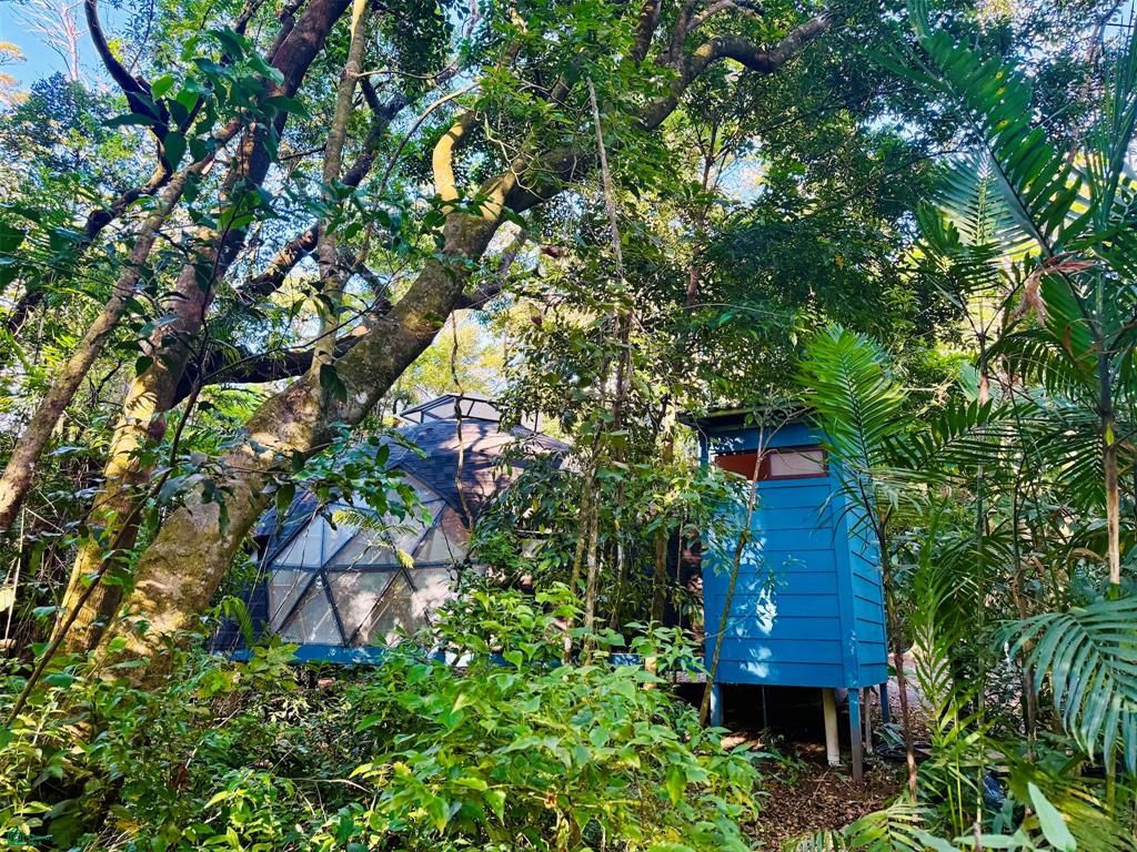 Eco Luxury Estate in Monteverde with Panoramic Gulf Views & Flat Land