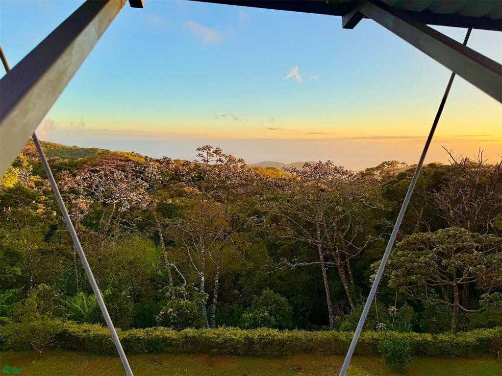 Eco Luxury Estate in Monteverde with Panoramic Gulf Views & Flat Land