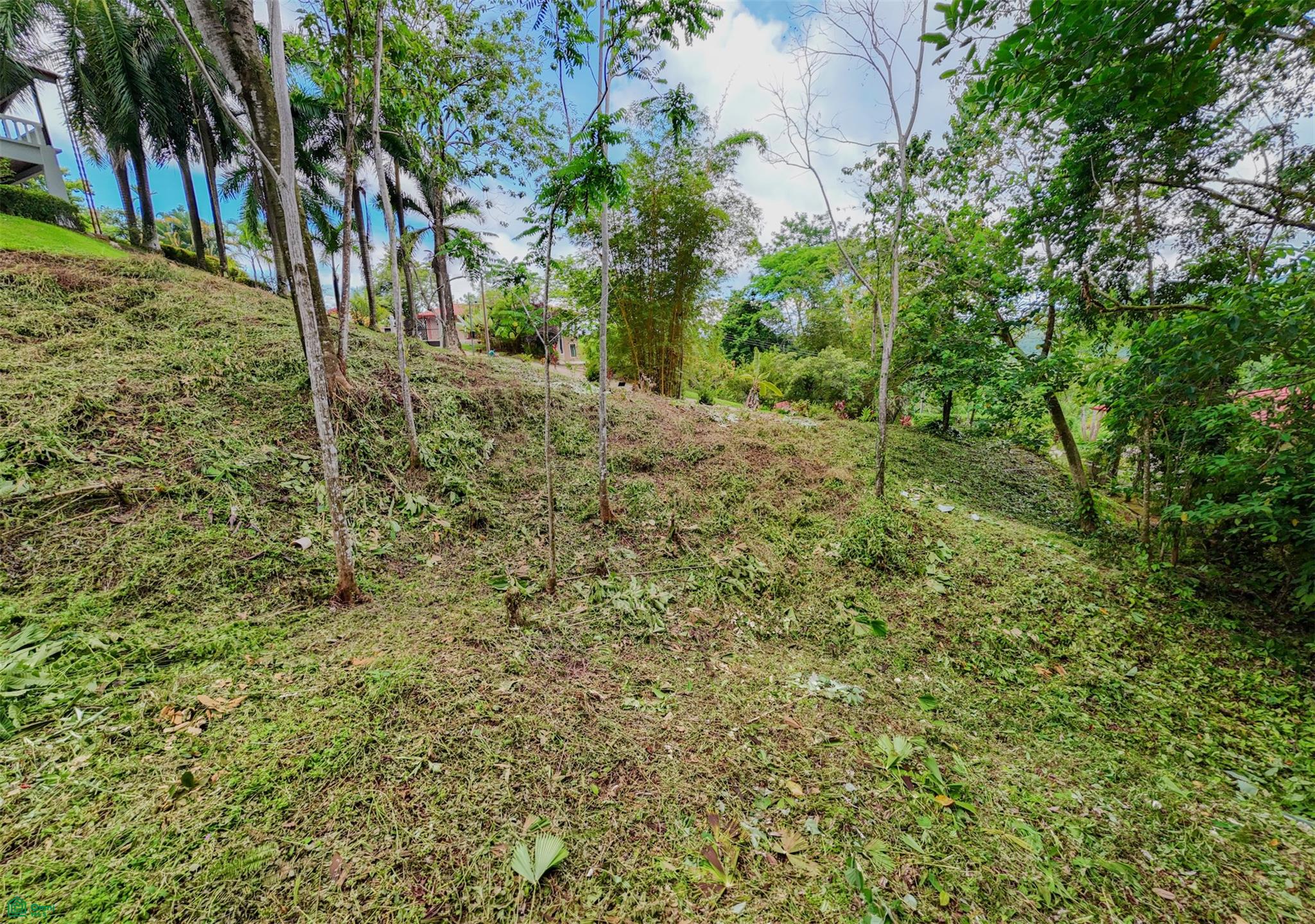 Palmera del Tropico Phase 9, Punta Mala