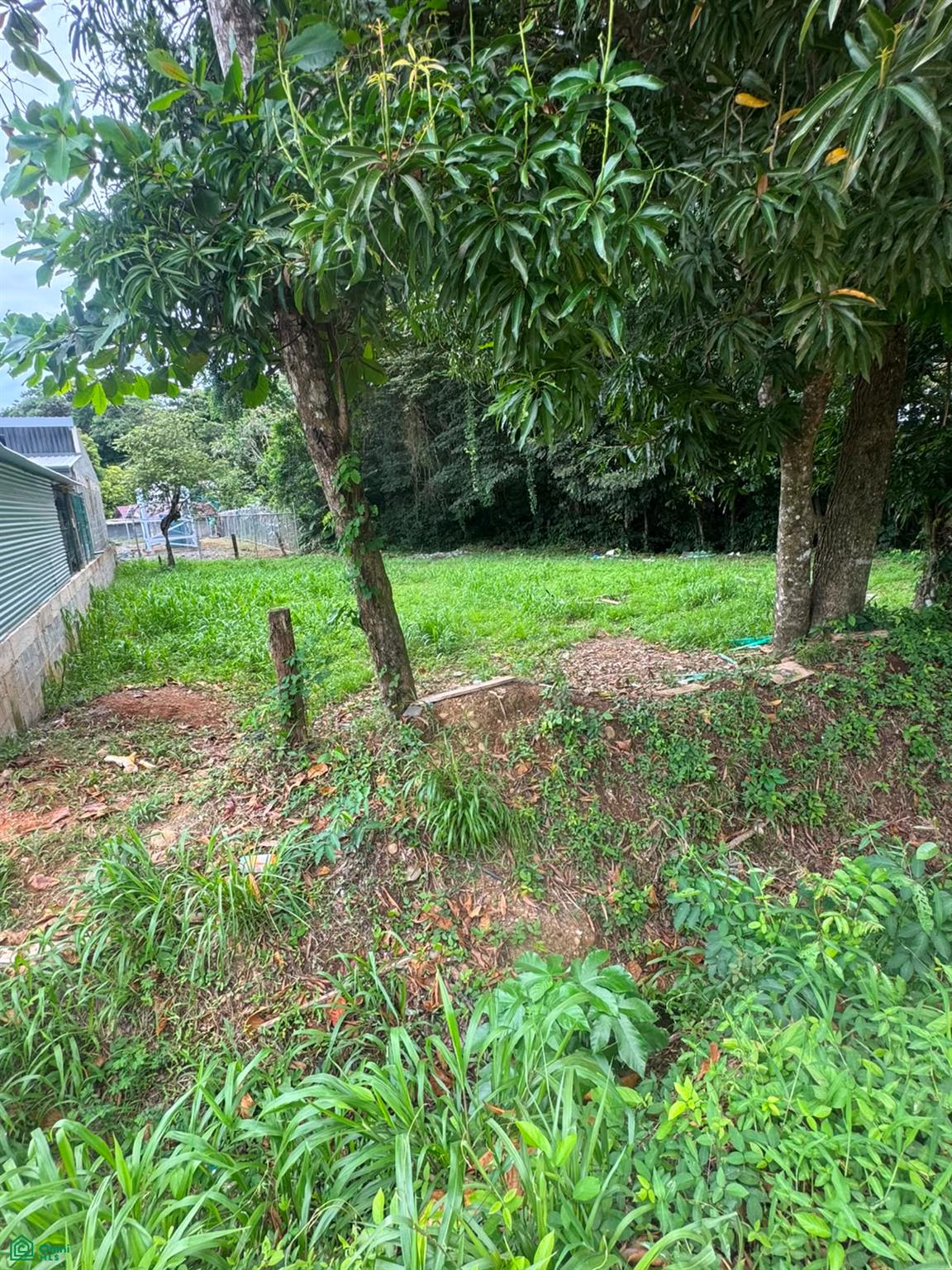 Prime Development Lot for Sale in Uvita – Ready to