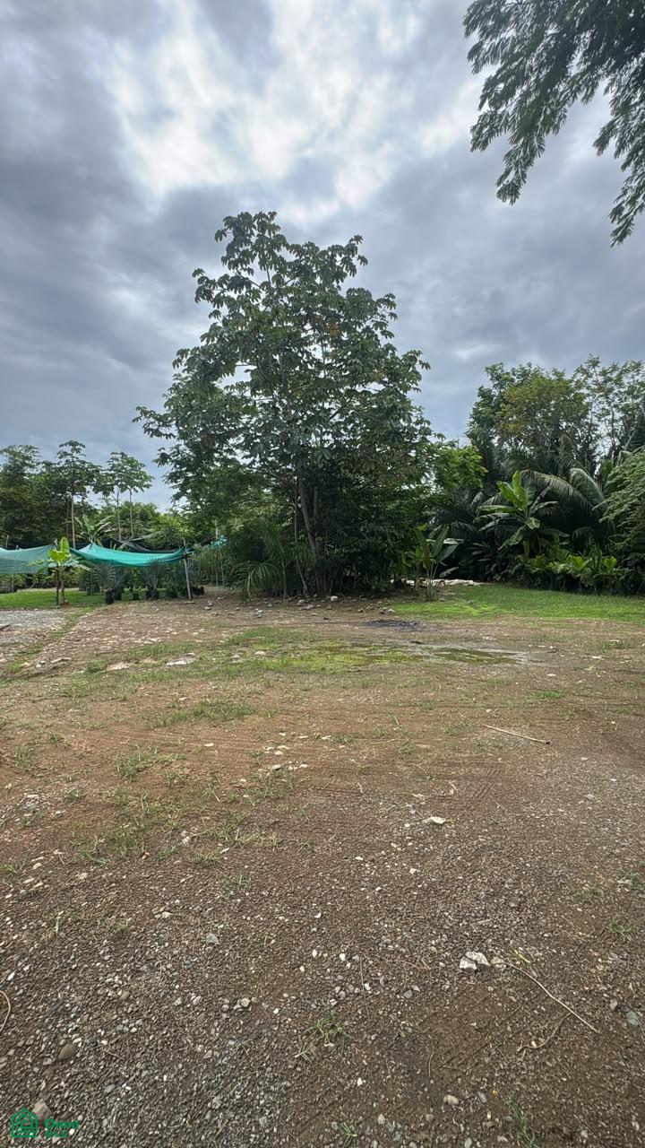 Premium 1,500 m² Flat Lot for Sale in Bahía Ballen