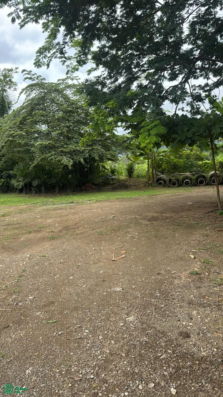 Premium 1,500 m² Flat Lot for Sale in Bahía Ballen