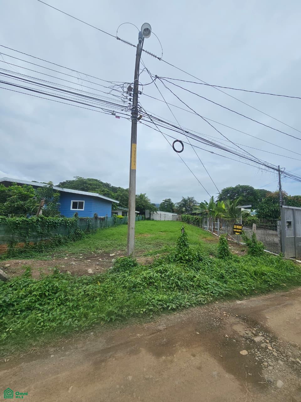 Prime Flat Lot for Sale in Bahía Ballena, CR