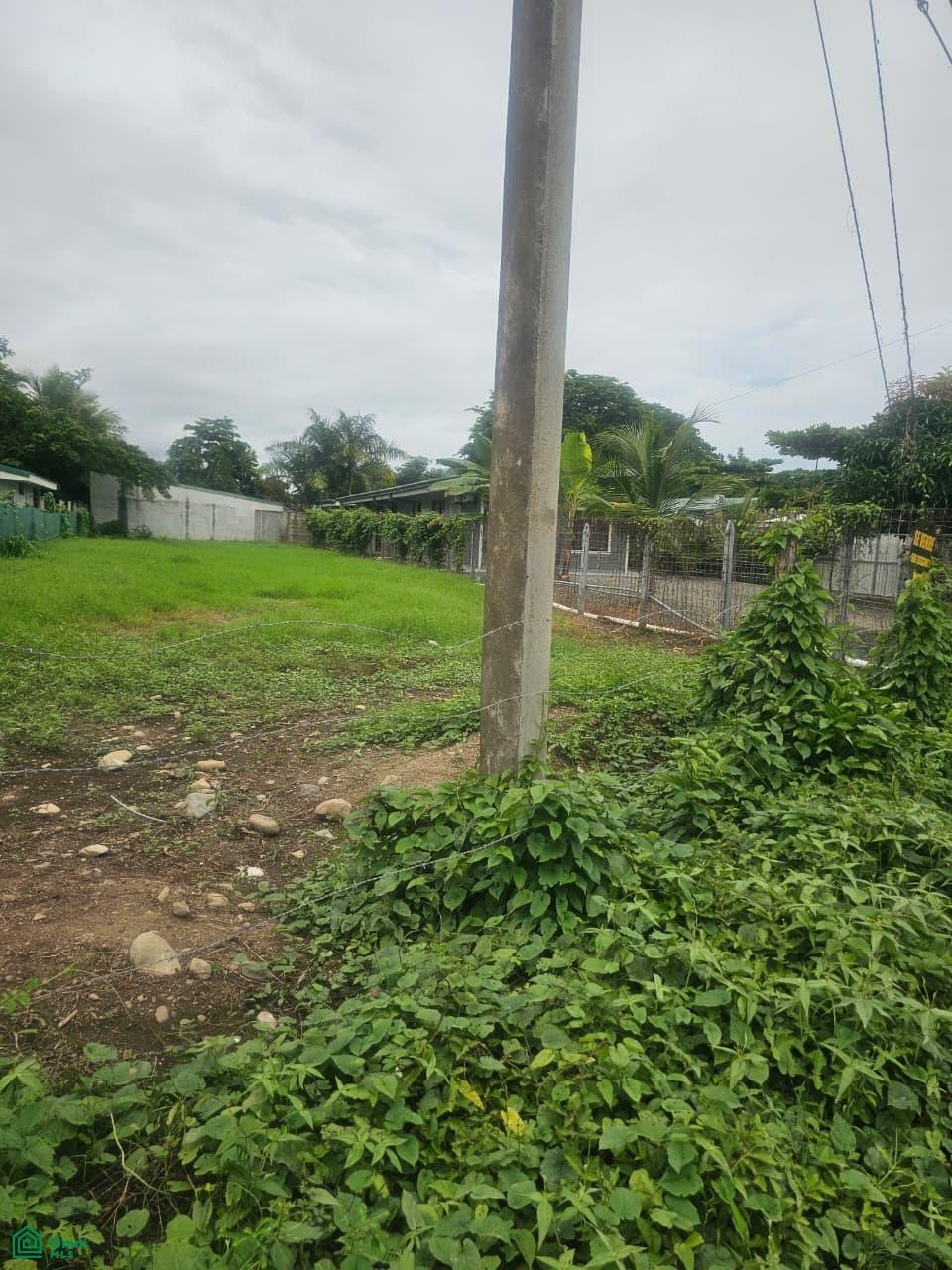Prime Flat Lot for Sale in Bahía Ballena, CR