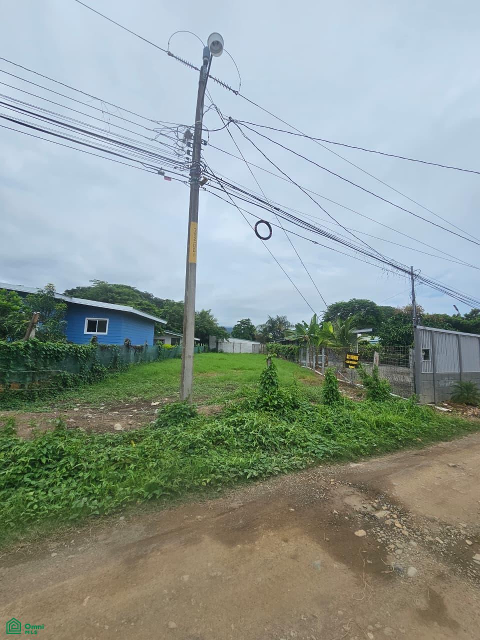 Prime Flat Lot for Sale in Bahía Ballena, CR