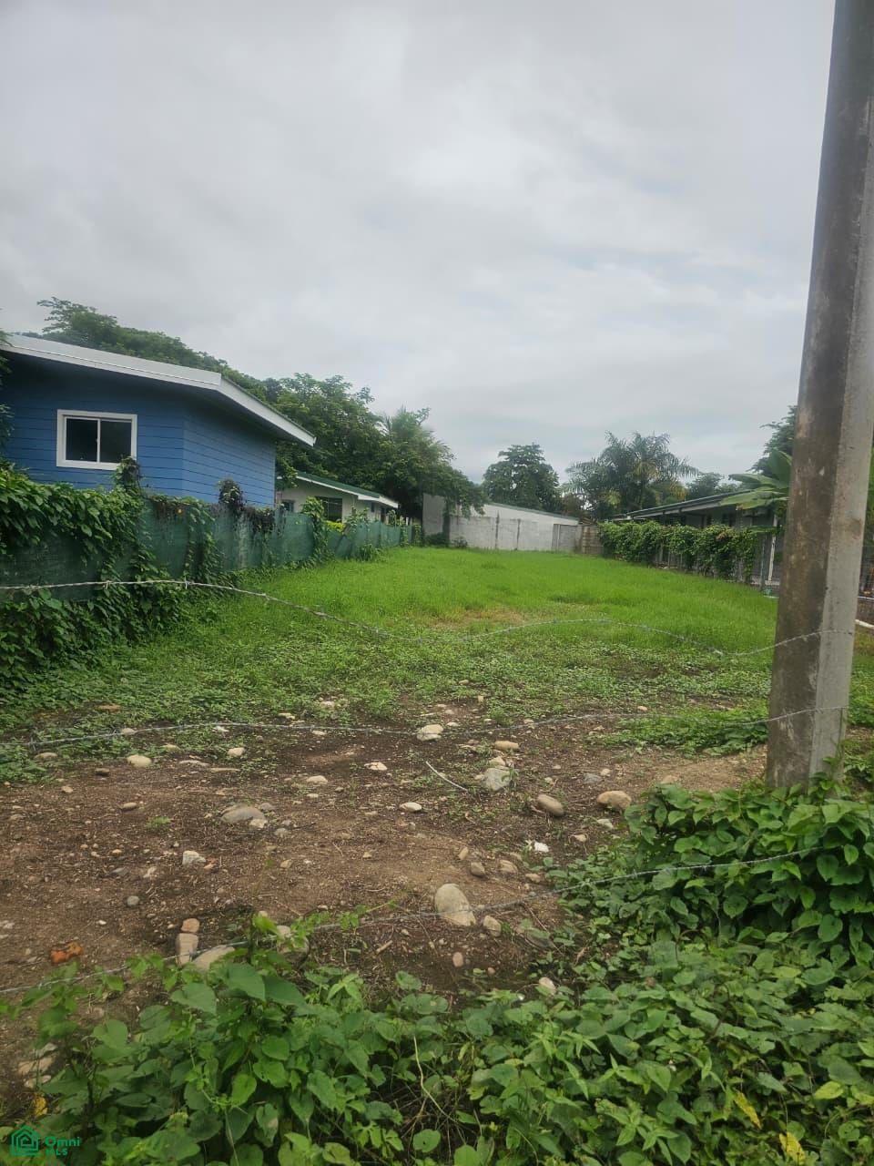 Prime Flat Lot for Sale in Bahía Ballena, CR