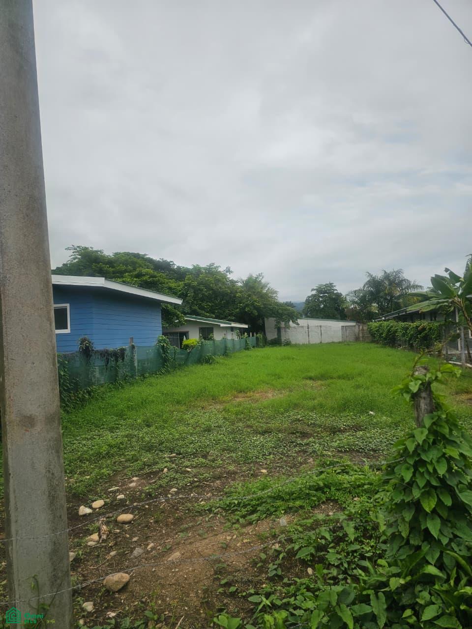 Prime Flat Lot for Sale in Bahía Ballena, CR