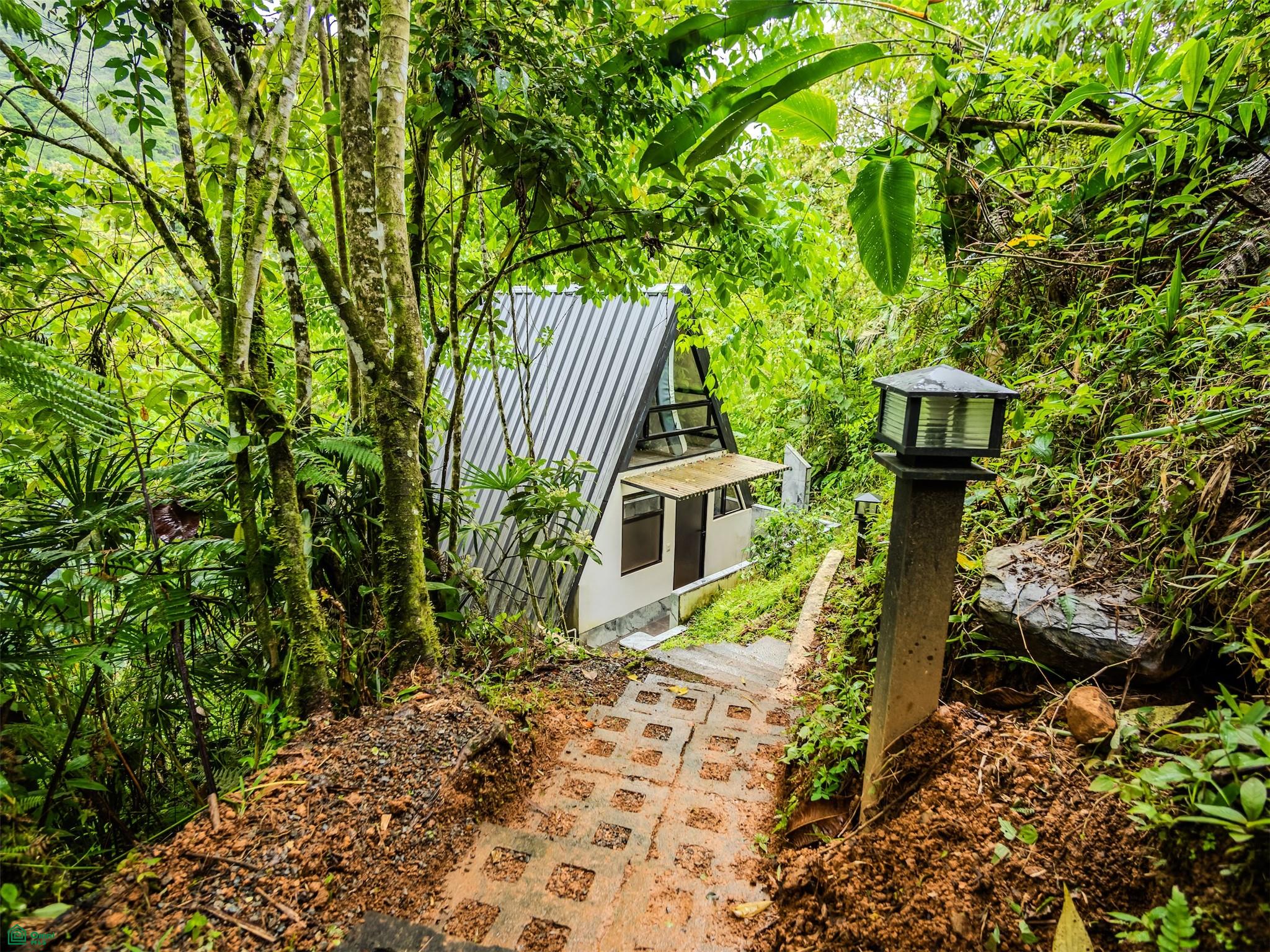 2.6-Acre Mountain Property in Southern Costa Rica