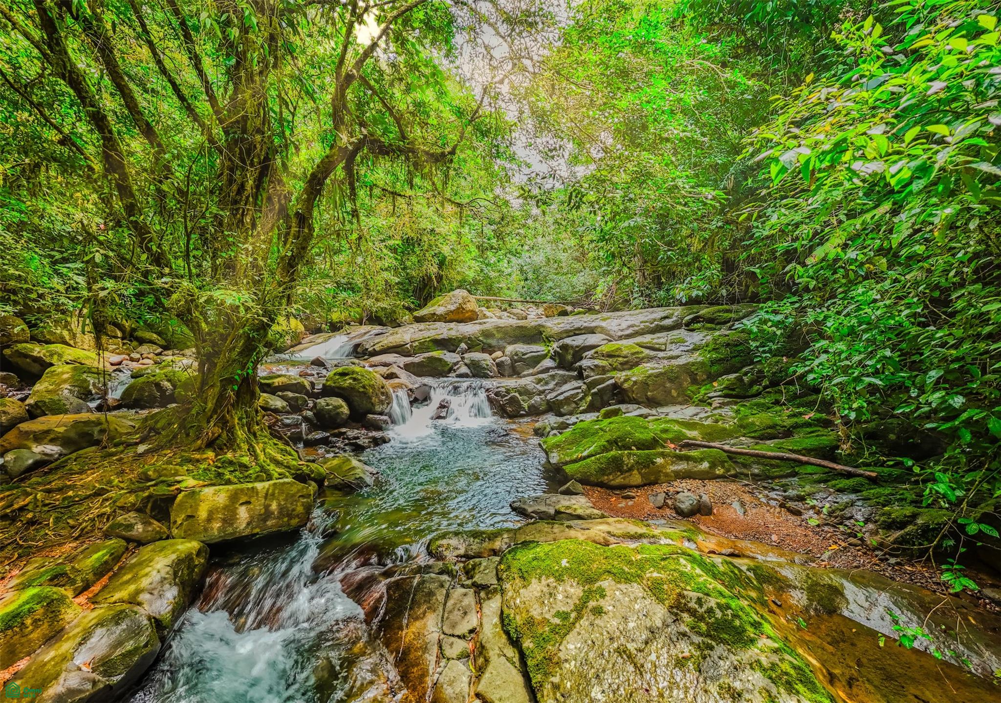 2.6-Acre Mountain Property in Southern Costa Rica
