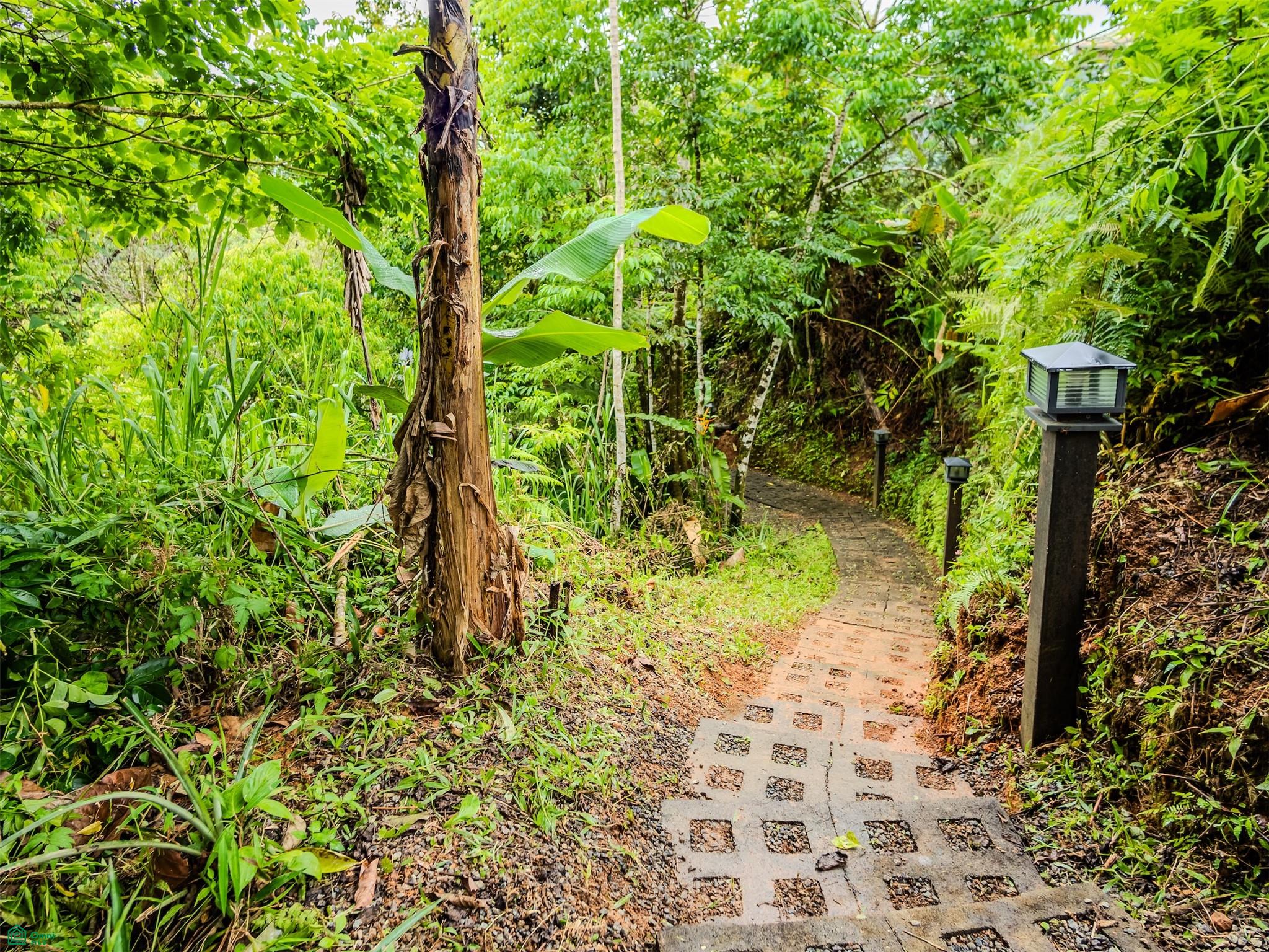 2.6-Acre Mountain Property in Southern Costa Rica