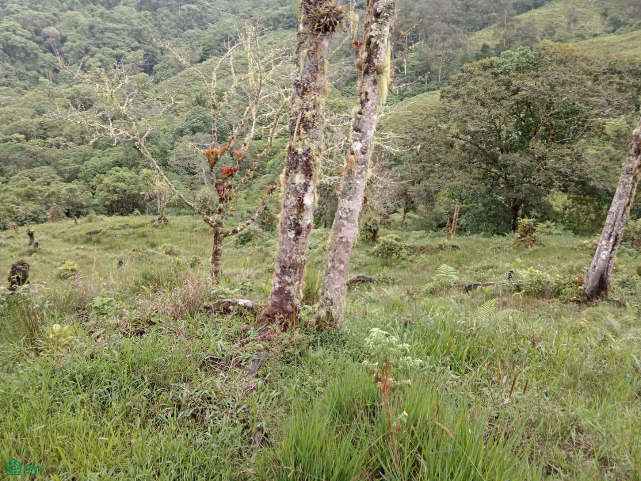 Land for Sale in Páramo, PZ, CR | 20,000 m²