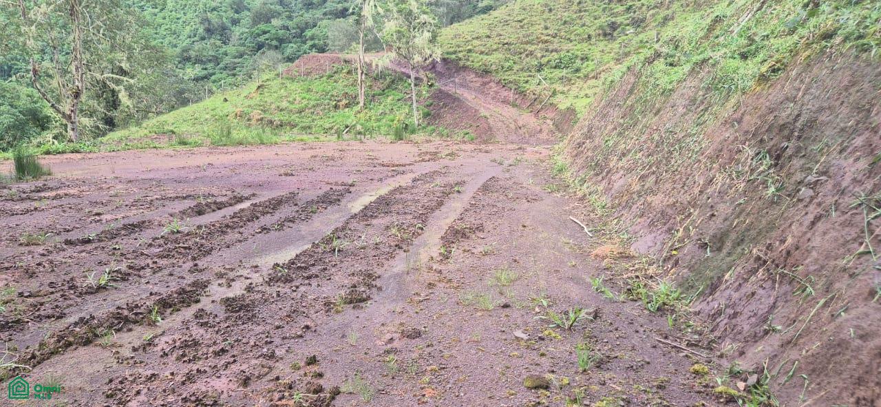 Land for Sale in Páramo, PZ, CR | 20,000 m²