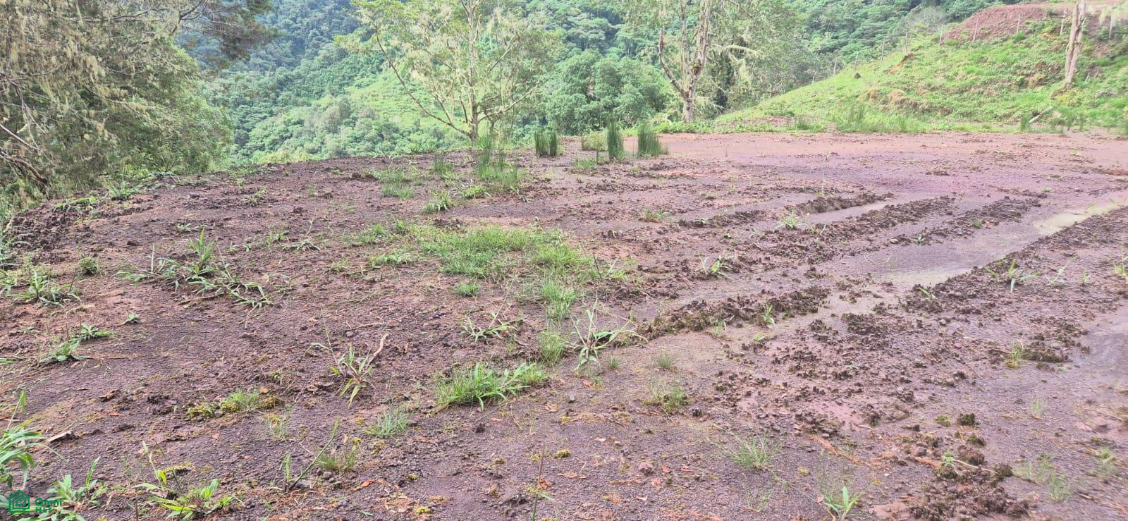 Land for Sale in Páramo, PZ, CR | 20,000 m²