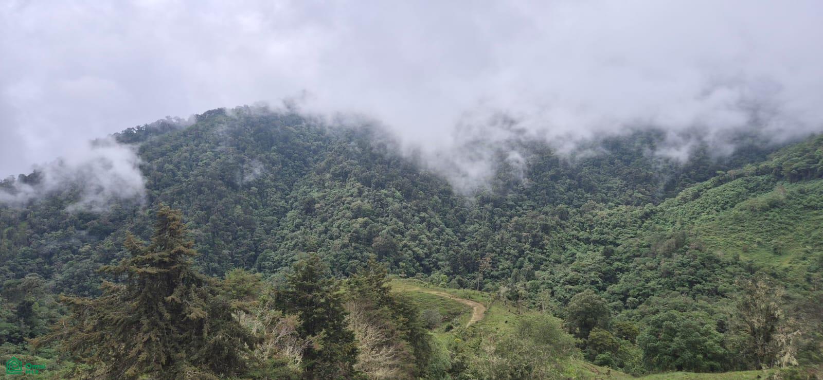 Land for Sale in Páramo, PZ, CR | 20,000 m²