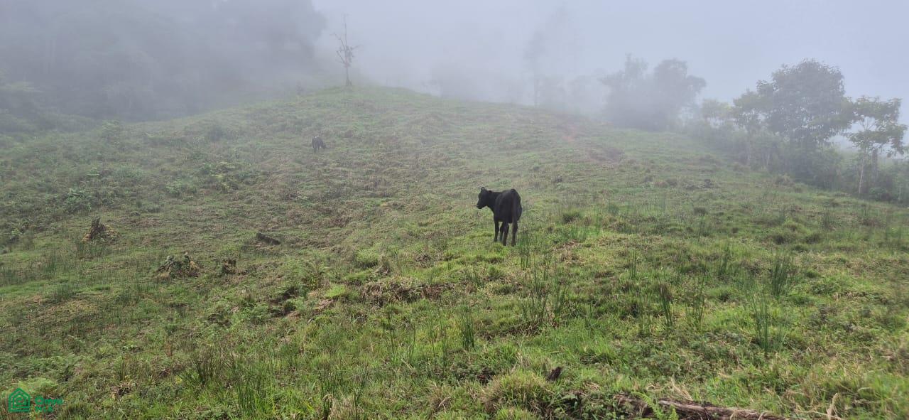Land for Sale in Páramo, PZ, CR | 20,000 m²