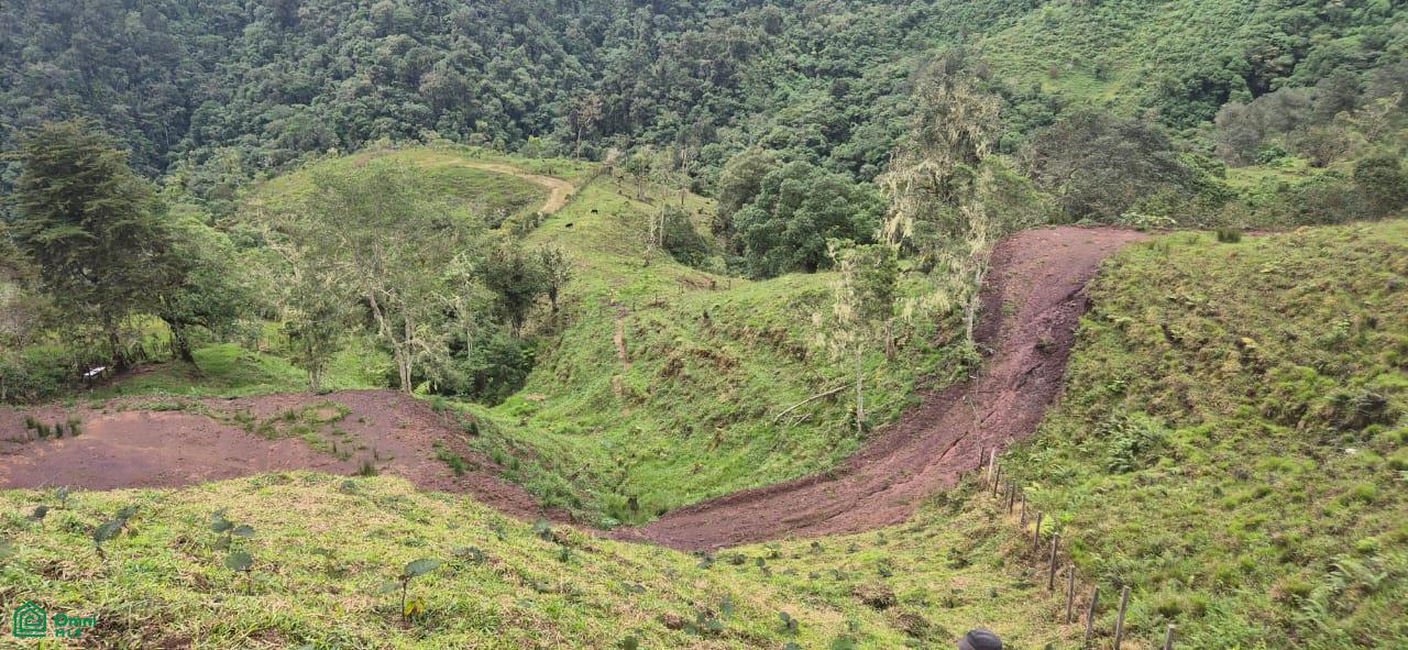 Land for Sale in Páramo, PZ, CR | 20,000 m²