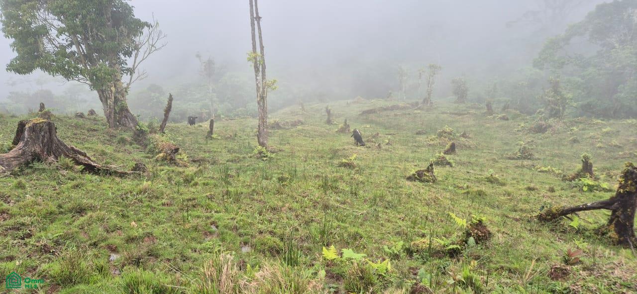 Land for Sale in Páramo, PZ, CR | 20,000 m²
