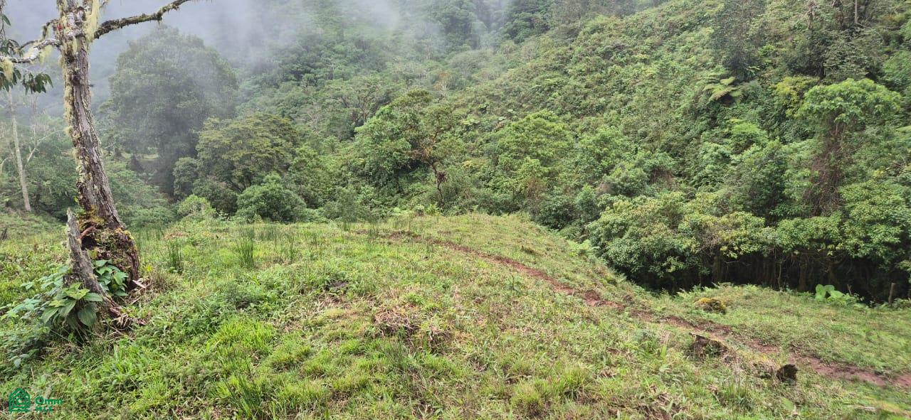 Land for Sale in Páramo, PZ, CR | 20,000 m²