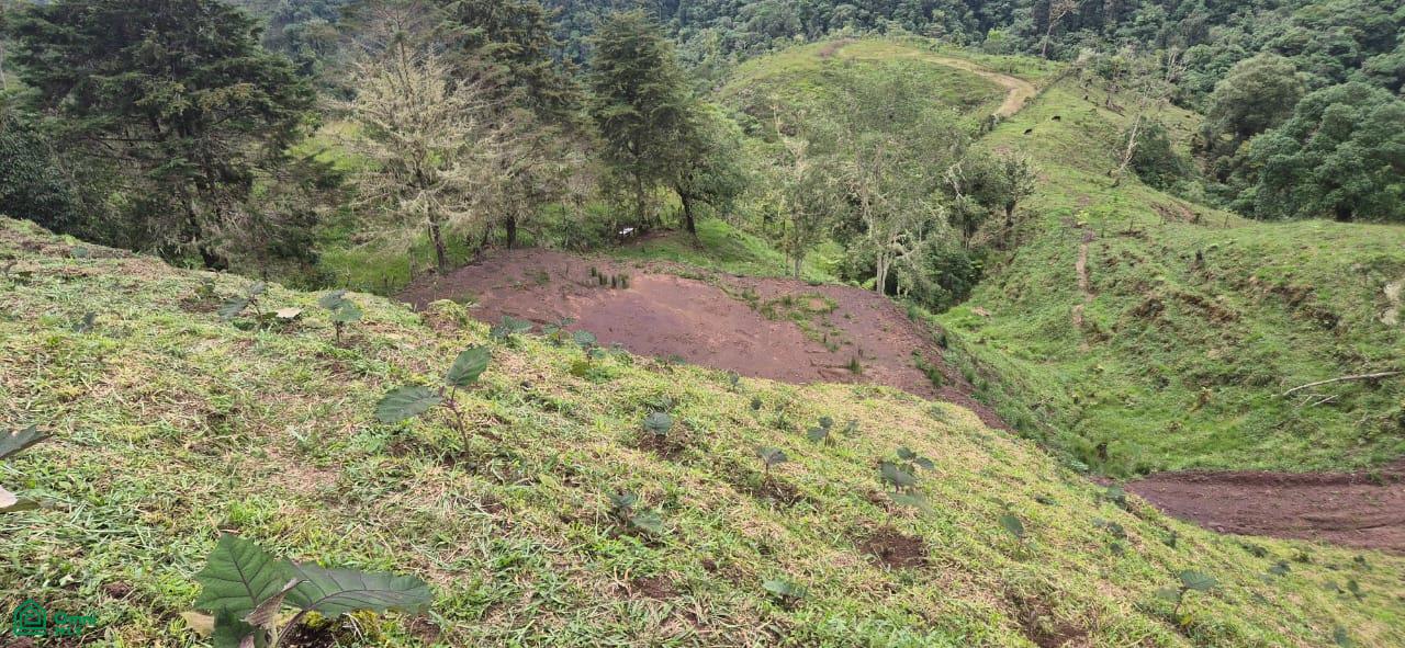 Land for Sale in Páramo, PZ, CR | 20,000 m²