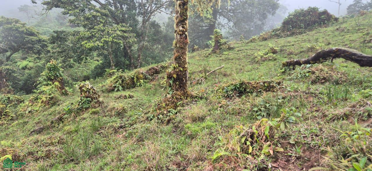 Land for Sale in Páramo, PZ, CR | 20,000 m²