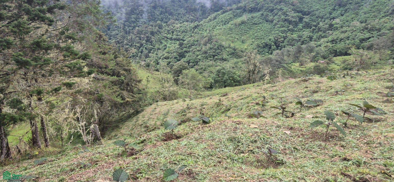 Land for Sale in Páramo, PZ, CR | 20,000 m²
