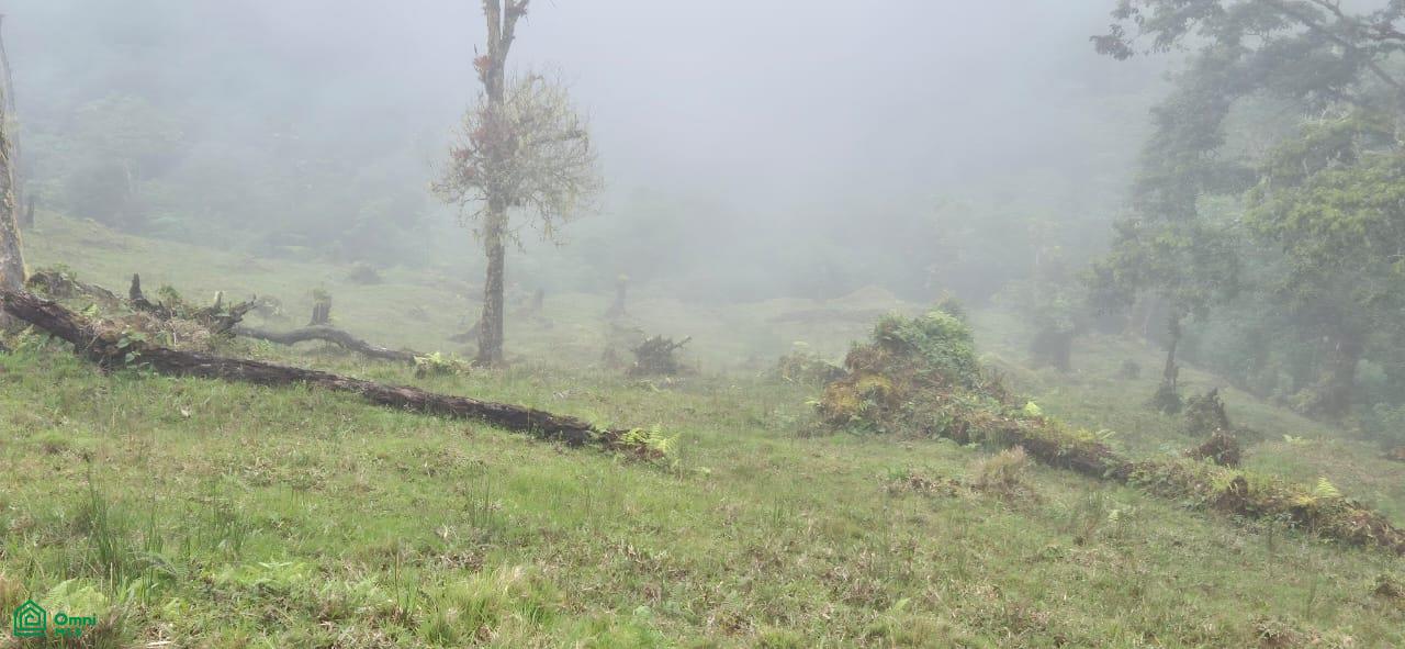 Land for Sale in Páramo, PZ, CR | 20,000 m²