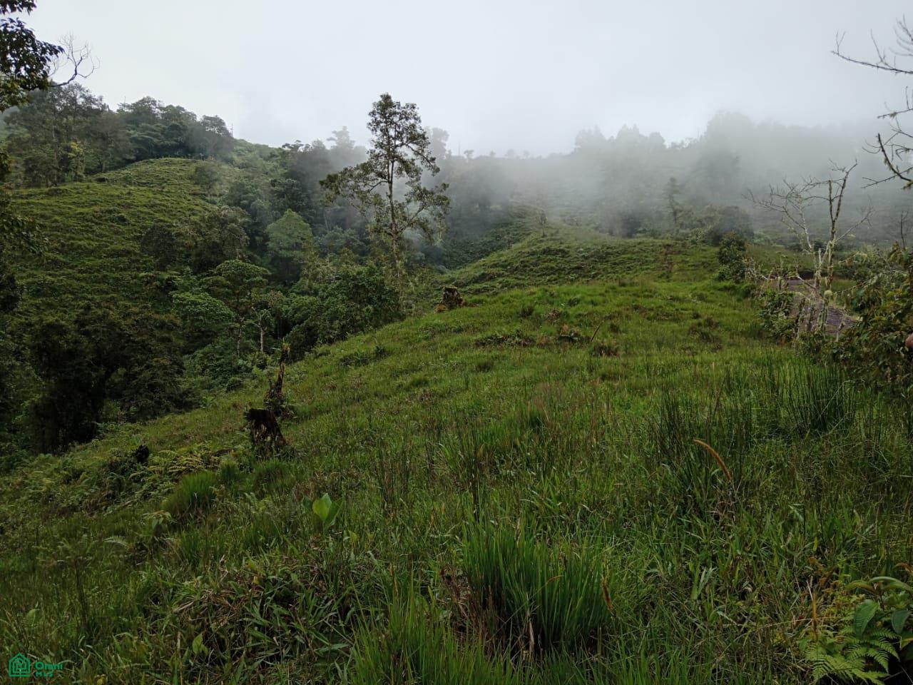 Land for Sale in Páramo, PZ, CR | 20,000 m²