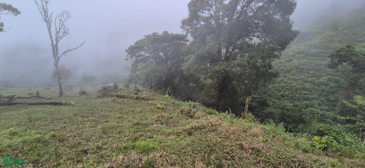 Land for Sale in Páramo, PZ, CR | 20,000 m²