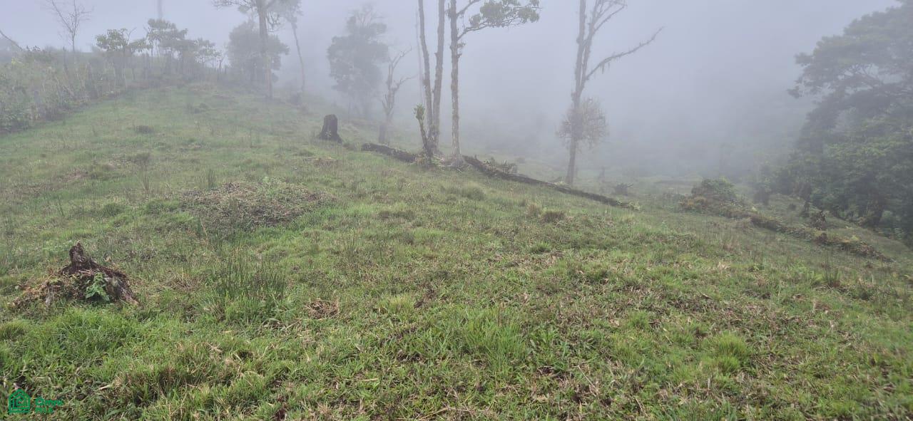 Land for Sale in Páramo, PZ, CR | 20,000 m²