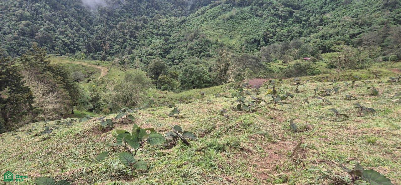 Land for Sale in Páramo, PZ, CR | 20,000 m²