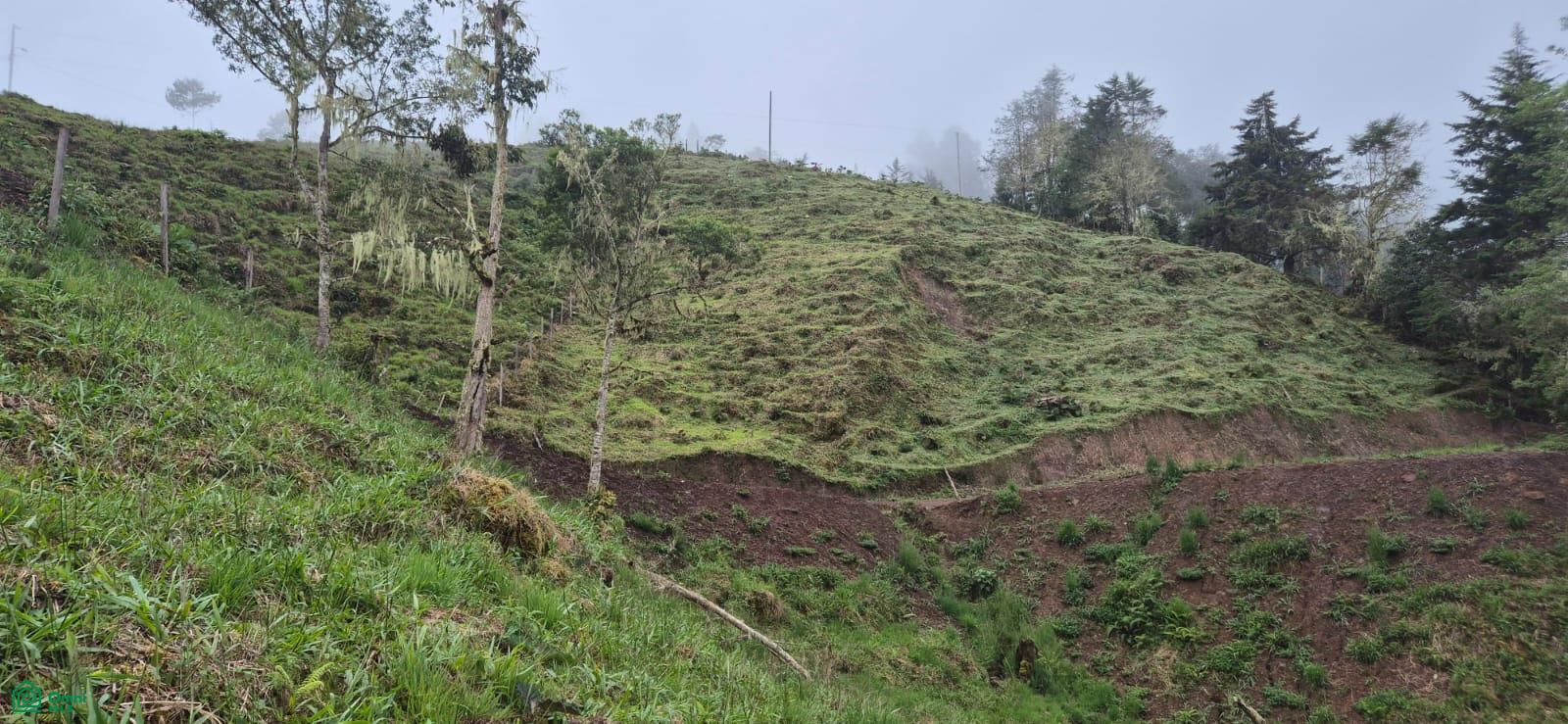 Land for Sale in Páramo, PZ, CR | 20,000 m²
