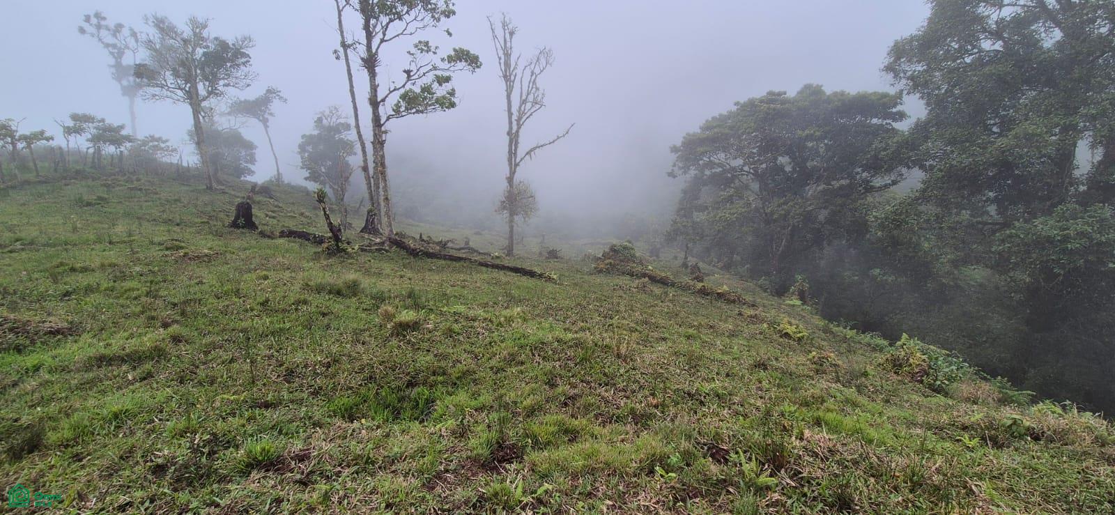 Land for Sale in Páramo, PZ, CR | 20,000 m²